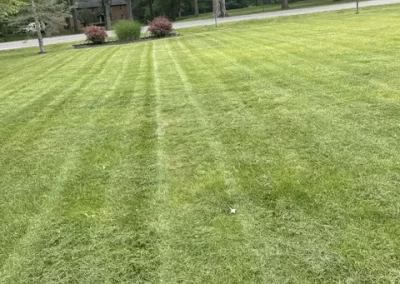 Best Landscape Services