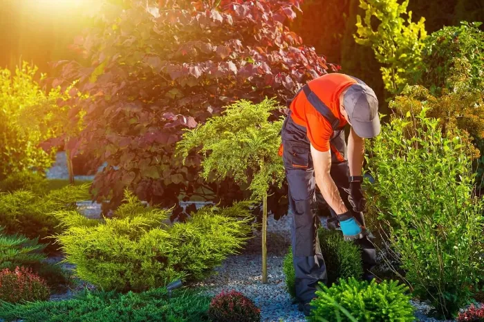 Landscaping Contractor in Etna, OH