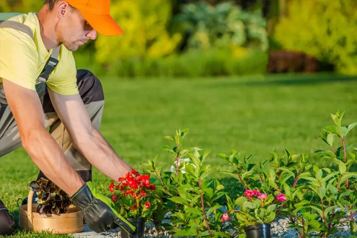Nature's Landscaping's Other Services