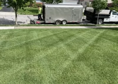 Professional Landscaping Company