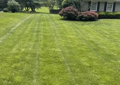 Quality Landscape Service