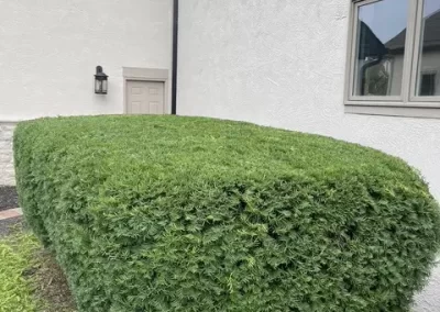 Trusted Landscaping Contractor