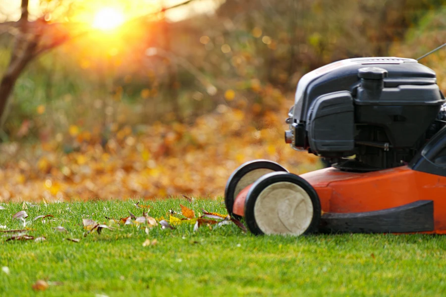 How Lawn Care Services Enhance Your Homes Curb Appeal in Etna, OH