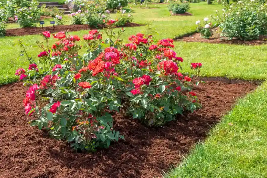 How Mulch Helps In Preventing Erosion In Landscaped Areas in Etna, OH