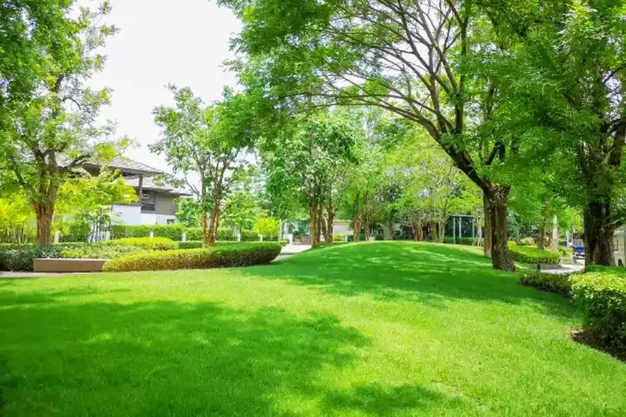 Understanding The Seasonal Needs Of Lawn Maintenance Etna, OH